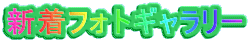 新着フォトギャラリー 